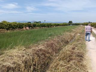 Propriété à Camino de Onda-Salesianos. Tierra campa
