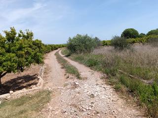 Propriété à Camino de Onda-Salesianos. Finca abandonada
