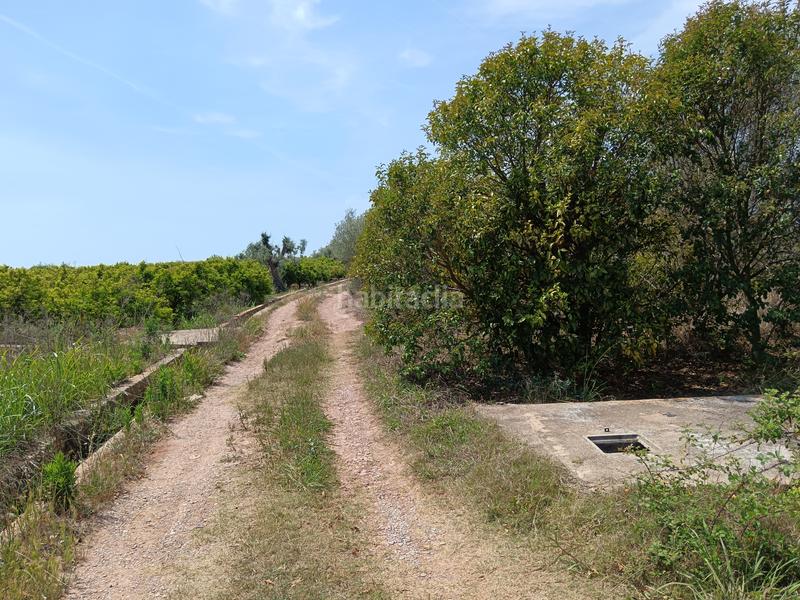 Foto 4cb1207f-2155-439d-8f2e-3e82d4c364c3. Fondo rustico in Camino de Onda-Salesianos Burriana
