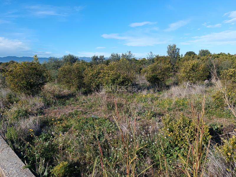 Foto 260c80fa-7cdc-4baa-8caf-50b798e24b04. Finca rústica terreno naranjal en Cariñena - Carinyena Villarreal / Vila - real