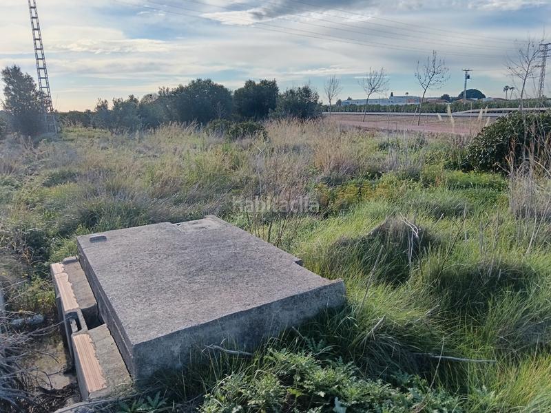 Foto 83fd8bff-8d82-4bc3-9171-a28869d9dcdd. Finca rústica terreno naranjal en Cariñena - Carinyena Villarreal / Vila - real