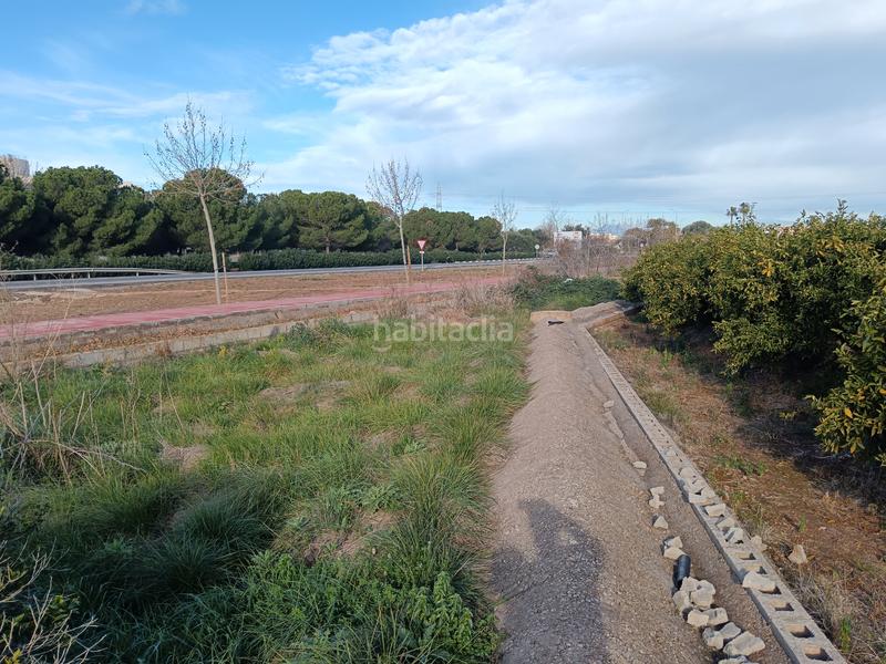 Foto e85eb322-8507-4b54-8fc5-466ff533c9d9. Finca rústica terreno naranjal en Cariñena - Carinyena Villarreal / Vila - real