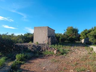 Casale en Partida pinella 230. Finca naranjal con caseta