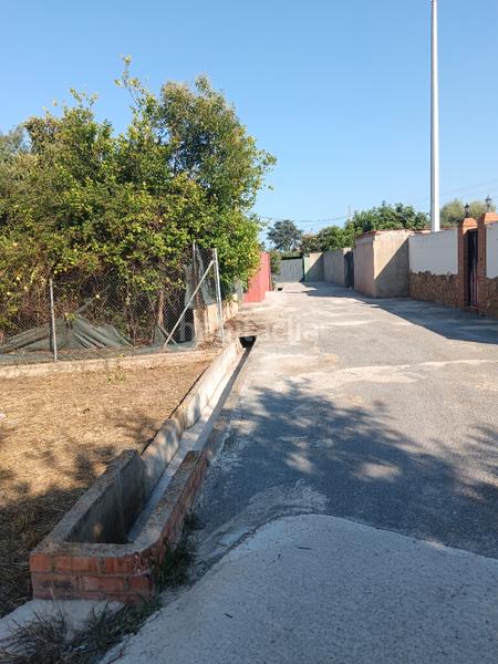 Foto 45e48a52-d0c1-46cb-9946-42505e7cc8d7. Finca rústica solar rustico en Santa Quiteria - Les Boqueres Almazora / Almassora