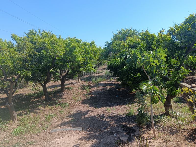 Foto 1dd99c91-2ea9-4bbb-9ecc-43fb66c67bb8. Finca rústica a Camino de Onda-Salesianos Burriana