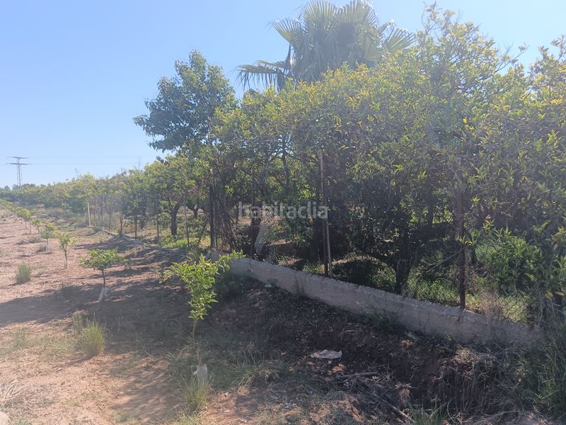 Foto db5572ff-bc7a-44a2-b544-9e9cbf63015b. Finca rústica a Camino de Onda-Salesianos Burriana