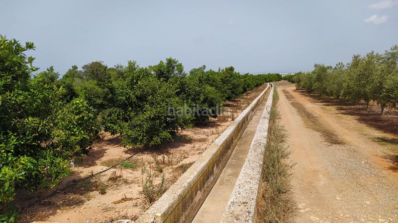 Foto 1574d55c-c8b7-4eb6-8b58-089dca4a98ee. Finca rústica a Piscinas Villarreal / Vila - real