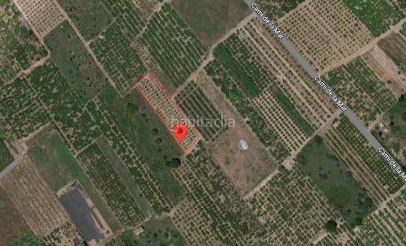 Foto 39a17374-6773-4ccc-b847-883cf2e9704f. Finca rústica a Piscinas Villarreal / Vila - real