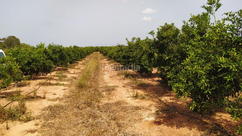 Foto 642c926b-057b-448c-8f71-4224c3333c95. Finca rústica a Piscinas Villarreal / Vila - real