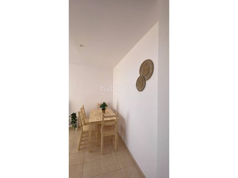 Foto a1c02450-83ef-4f12-a5b8-4f5db6684735. Estudi a La Envía Vícar