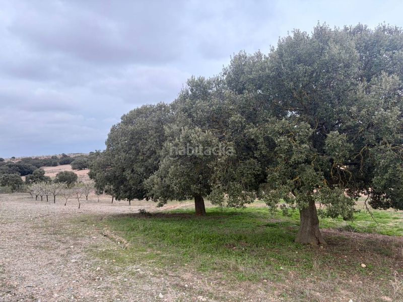Foto cbbeb614-42ac-48da-96a8-15ccda847a3e. Finca rústica a Chirivel