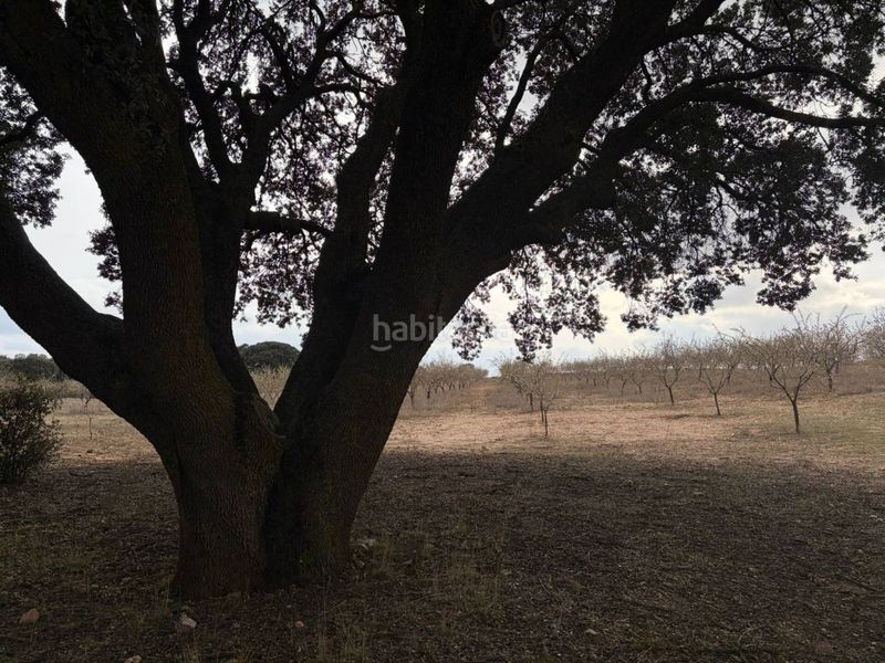 Foto edcbccf3-6e76-4b7a-82b9-0b867448e7cd. Finca rústica a Chirivel