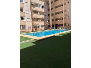 Lloguer Pis  Andarax. Vivienda disponible a partir de septiembre