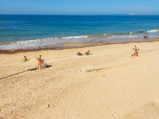 Location Appartement à Avenida amílcar barca 17d. 1ª linea playa victoria y playa santa maria
