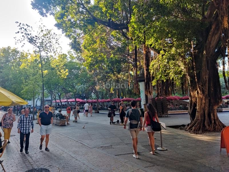 Foto bc9ea955-e440-449b-ae1e-712b2be0856f. Alquiler piso plaza mina - alameda en Alameda - Mentidero - Teatro Falla Cádiz