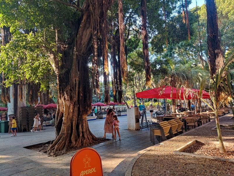 Foto 32713ec9-ef48-45a8-a637-41e69ef37ea7. Miete etagenwohnung in Alameda - Mentidero - Teatro Falla Cádiz