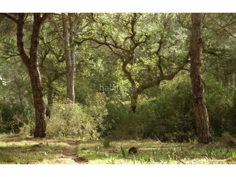 Foto bd9cbbc4-3fc1-49a0-81c1-2432bc41803c. Chalet dans calle el boquerón 2 dans La Barrosa Chiclana de la Frontera