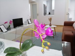 Location Appartement à Calle vea murguía 23. Alameda