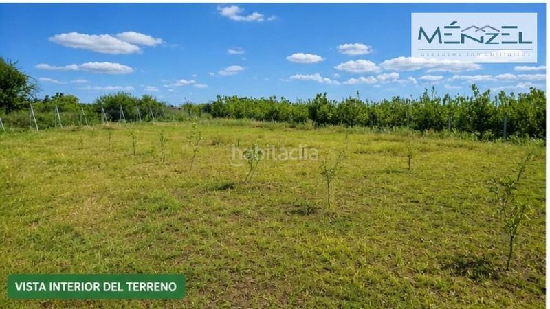 Foto a5ccc07a-c1ef-4009-acf8-818c60a5c1be. Finca rústica a Rinconada (La)