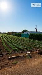 Finca rústica  Polígono 13 parcela 200. Excepcional finca rústica de regadío en sevilla capital  ubicaci