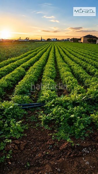 Foto 612c4683-cac4-45b6-9671-3f45b31e0020. Finca rústica a Valdezorras - El Gordillo Sevilla