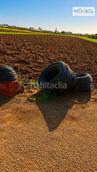 Foto 90153d34-838c-4cfc-b3d4-dd26ed625694. Finca rústica a Valdezorras - El Gordillo Sevilla