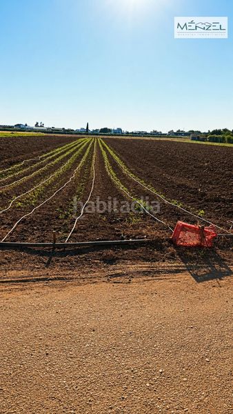 Foto bc21e79e-3daf-4273-bf8c-1b5b87fe9fc6. Finca rústica a Valdezorras - El Gordillo Sevilla