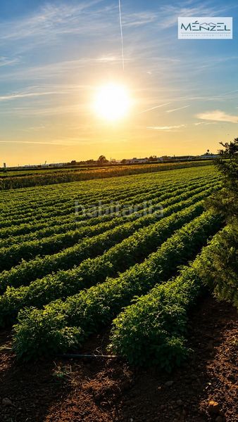 Foto fb87b284-70ca-4454-a239-9f4b13330414. Finca rústica a Valdezorras - El Gordillo Sevilla