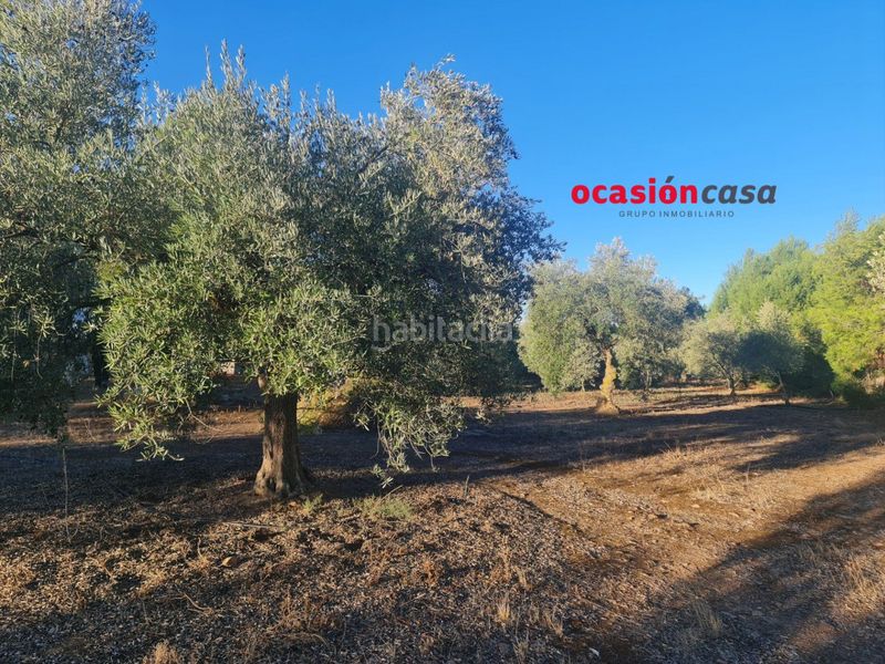 Foto 5cb88b5f-c711-4c10-9442-a46cf24130e6. Terreny residencial a Granjuela (La)