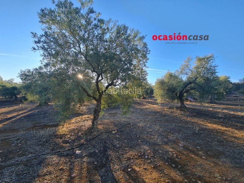 Foto 8cf72592-25da-4368-bc23-7c360c29e737. Terreny residencial a Granjuela (La)