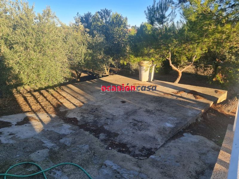 Foto c243d42b-1a1d-4951-a59f-cba74bd9a6b3. Terreny residencial a Granjuela (La)