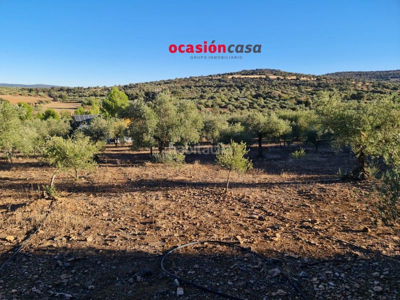 Foto d4136ef4-b70e-475c-b26c-02c090985c3b. Terreny residencial a Granjuela (La)