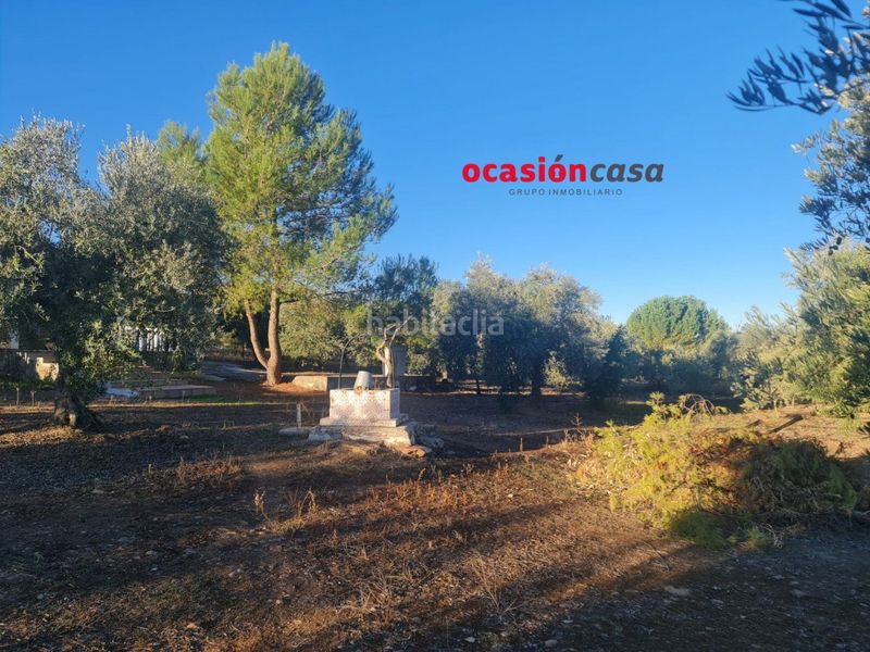 Foto f76ab7bc-e89f-4f07-937f-f5fc077aab0c. Terreny residencial a Granjuela (La)