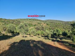 Masia a Villanueva del Rey. Finca de olivosencinas con vivienda y abundante agua