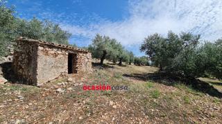 Terreny residencial a Peñarroya - Pueblonuevo. Olivar con pequeña construcción a la venta