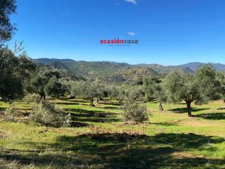 Residential Plot in El Brillante -El Naranjo - El Tablero. Magnifica finca con vivienda a la venta