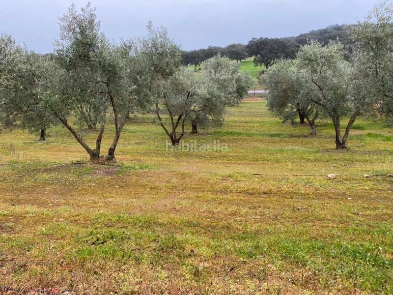 Foto f57d73c7-65fb-41e7-86ed-214a8f8a11dc. Xalet amb calefacció aparcament a Granjuela (La)