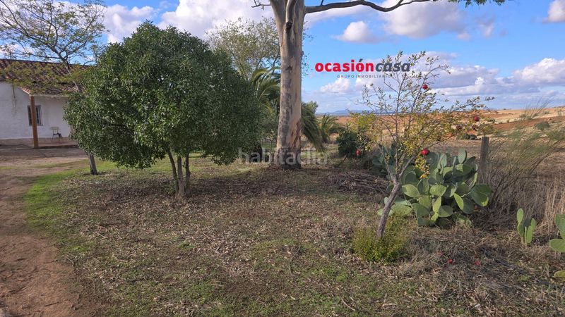 Foto 66937ce2-d6cb-4c1c-b8c4-1c038a0b0338. Terreny residencial a Valsequillo