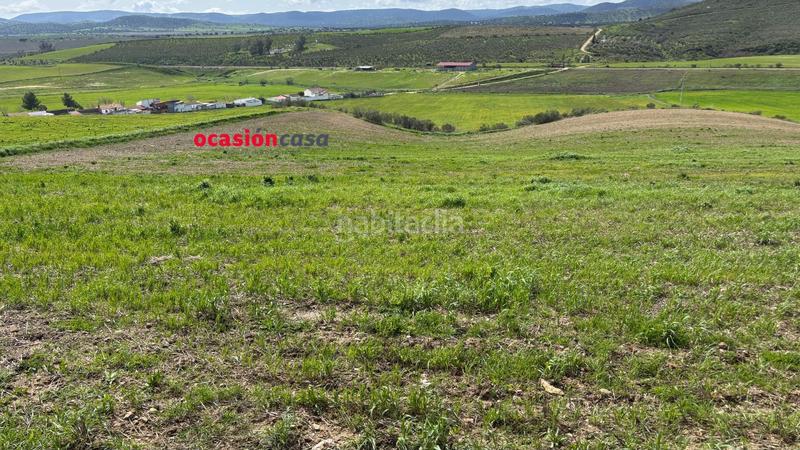 Foto ee9dd9a9-44aa-49e4-8dda-ed67faec5363. Terrain résidentiel dans Belmez