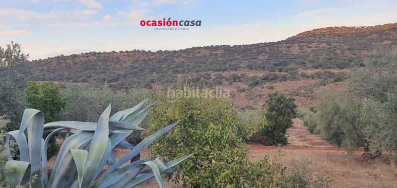 Foto f8148627-31a6-484f-aacd-f3e23d19e6c8. Terreno residencial finca rústica con casa en Villanueva del Rey