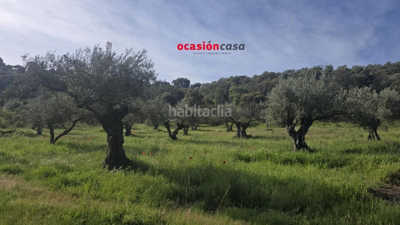 Foto 329ea0e7-1fa7-40ce-b2b8-d395ed73331f. Casa a Belmez