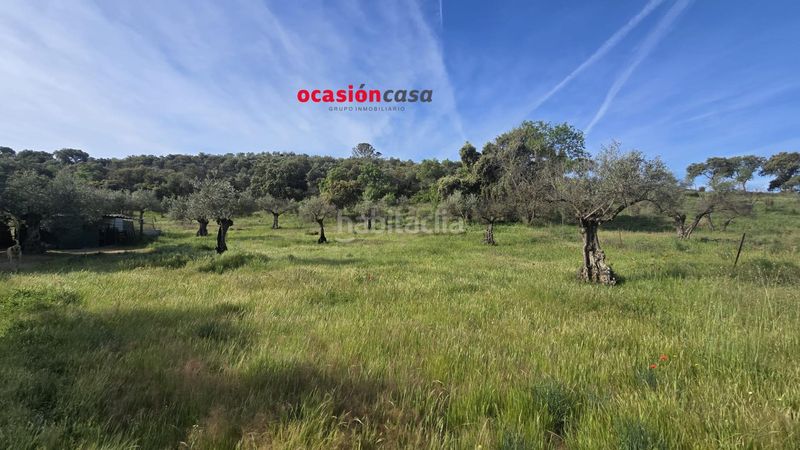 Foto 4156553e-3d01-48ae-b25a-d13f439cdc87. Casa a Belmez