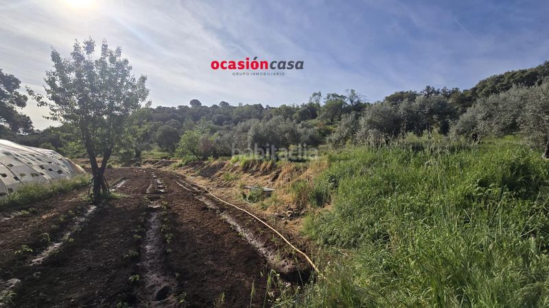 Foto c47d0d54-a1e4-48fe-98d8-381fd66636a6. Casa a Belmez