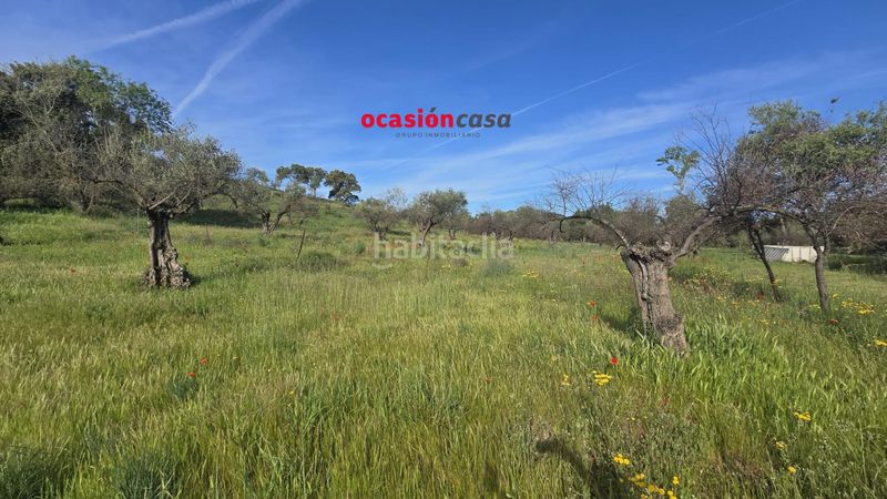 Foto e7e36398-4ae5-41d0-b047-98f3b2ced846. Casa a Belmez