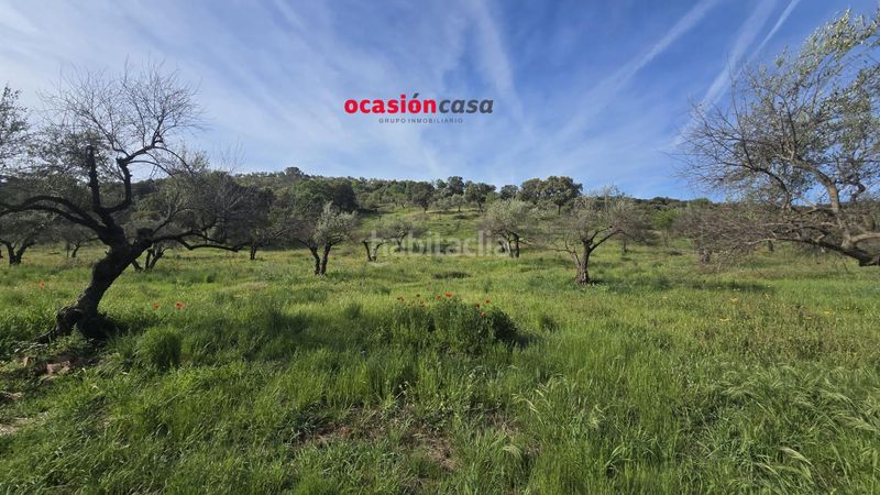 Foto efe22eff-6193-4277-be40-214d481a5d48. Casa a Belmez