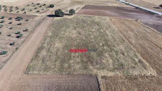 Terreny residencial a Valsequillo. Parcela de siembra a la venta en valsequillo