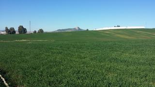 Masia a Peñarroya - Pueblonuevo. Finca rústica entre belmez y peñarroyapueblonuevo
