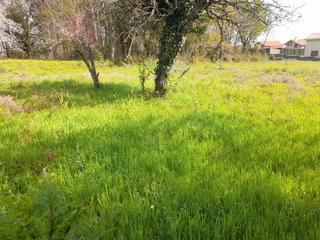 Terreny residencial a Tui. Terreno en venta en tui