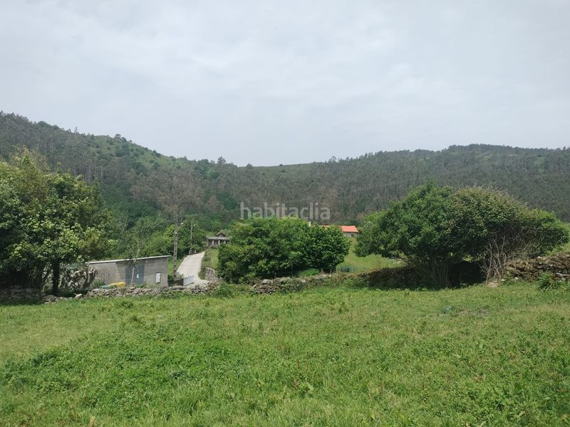 Foto 8abbe1dd-4807-465e-b186-17f1650d2c05. Masia a Lama (A)