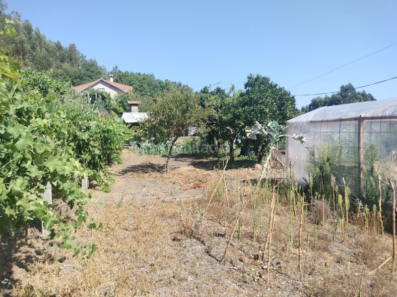 Foto 1de64e37-2c61-4f77-ac5e-03f9031acd9c. Casa  en venta en a cañiza en Cañiza (A)